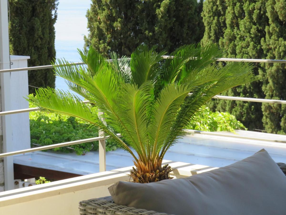 Villa King Dubrovnik Ngoại thất bức ảnh